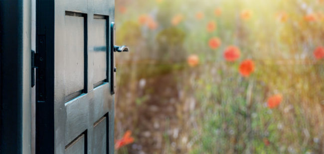 Opened door concept to beautiful and imaginary poppies field champ des possibles de la PNL